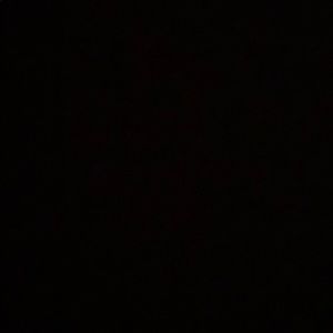 Meet your Posher, Rraegan